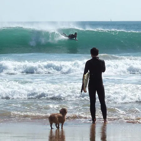 דירה Surf